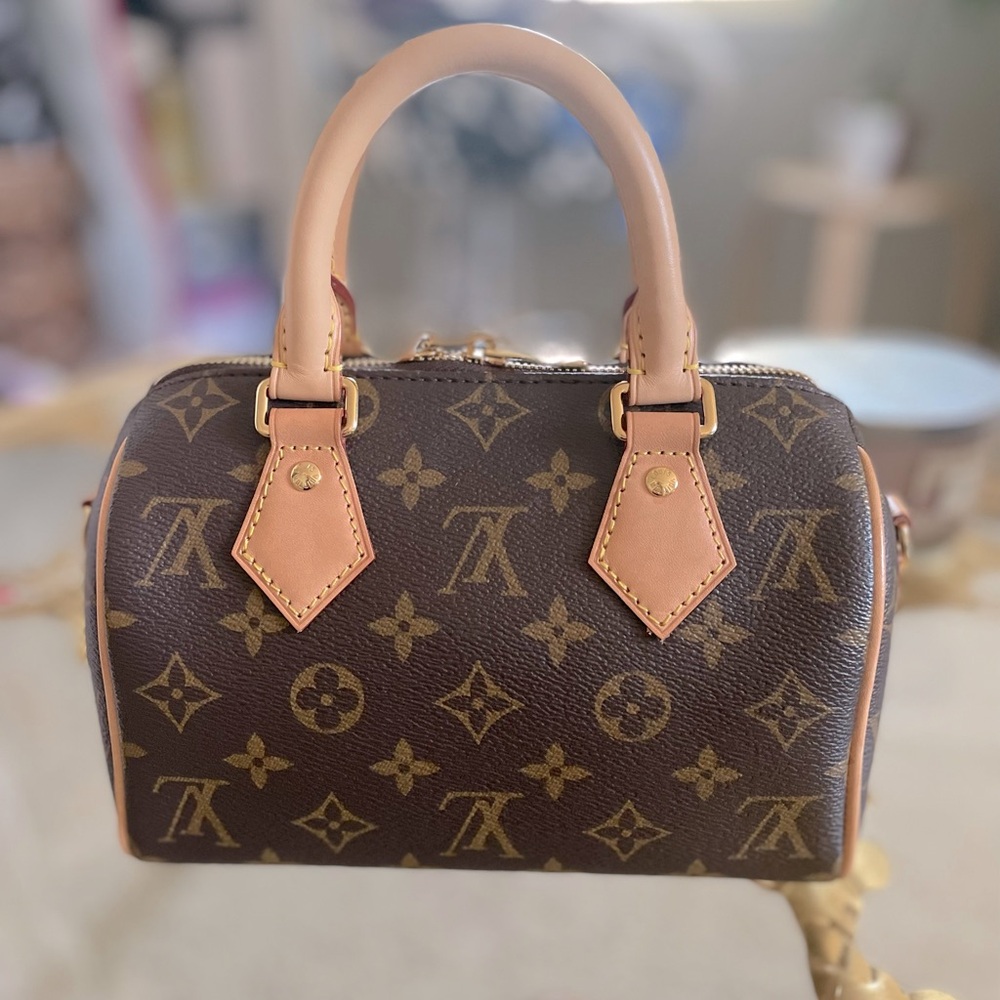 Louis Vuitton Monogram Speedy 20